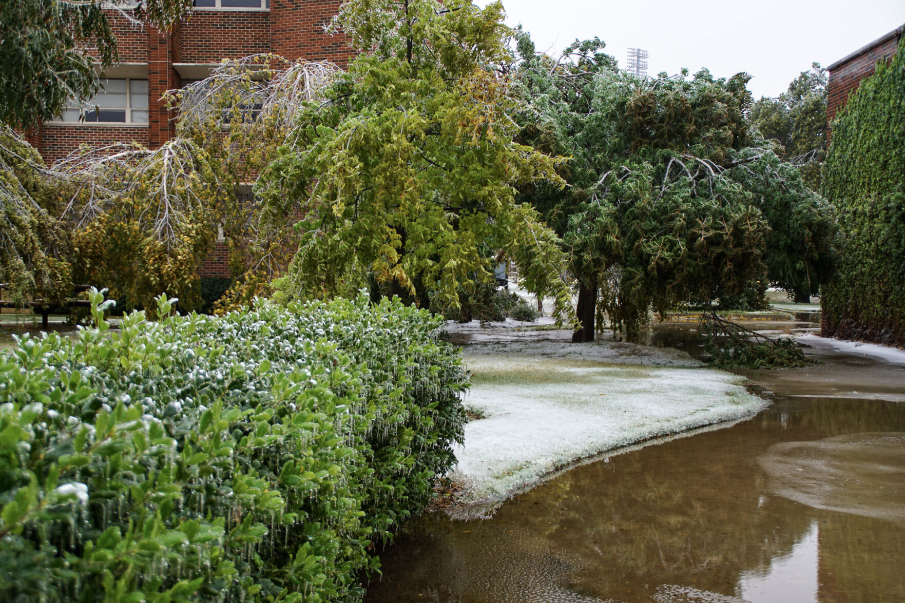 OU campus